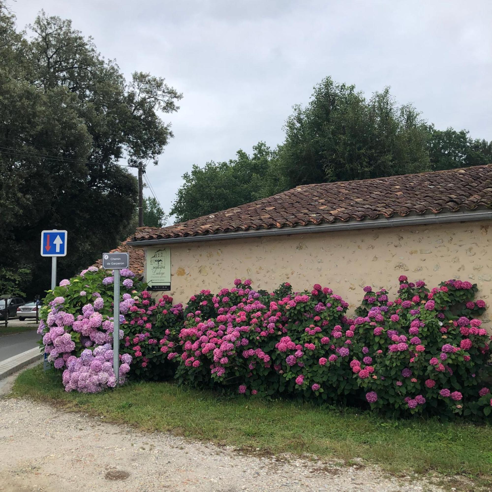 Domaine De Ludeye Hotel Listrac-Médoc Exterior photo